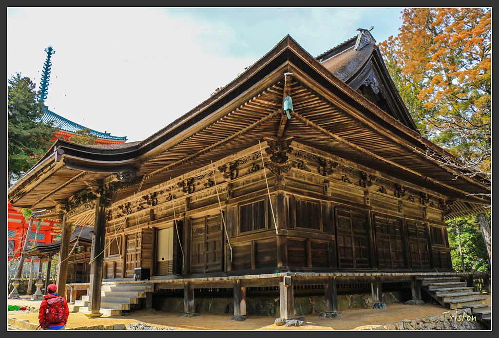 IMG_4541.jpg - 20160323 日本熊野古道健行