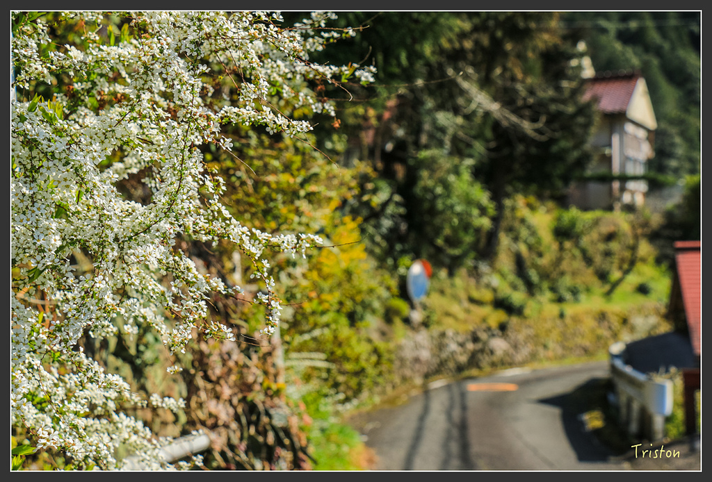 IMG_5235.jpg - 20160323 日本熊野古道健行