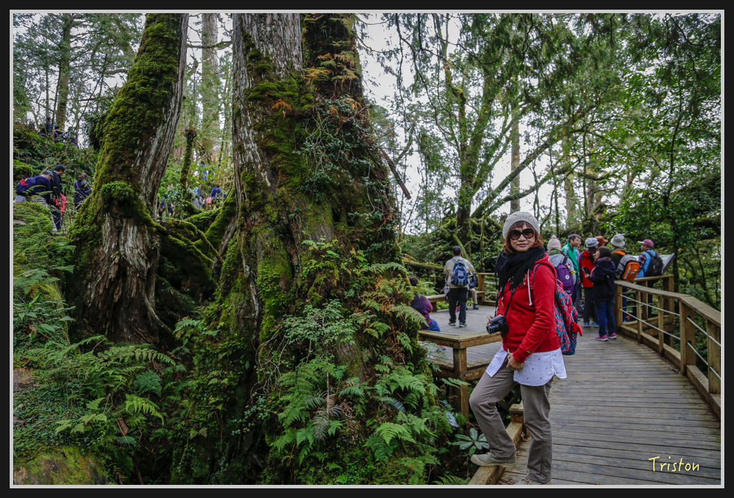 00117.jpg - 20161231 明池 神木園