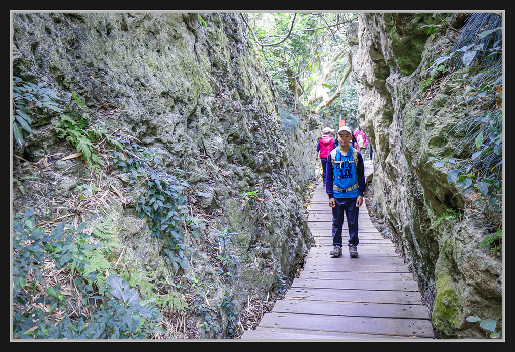 _MG_0064.jpg - 20170205 柴山盤榕雅座路線