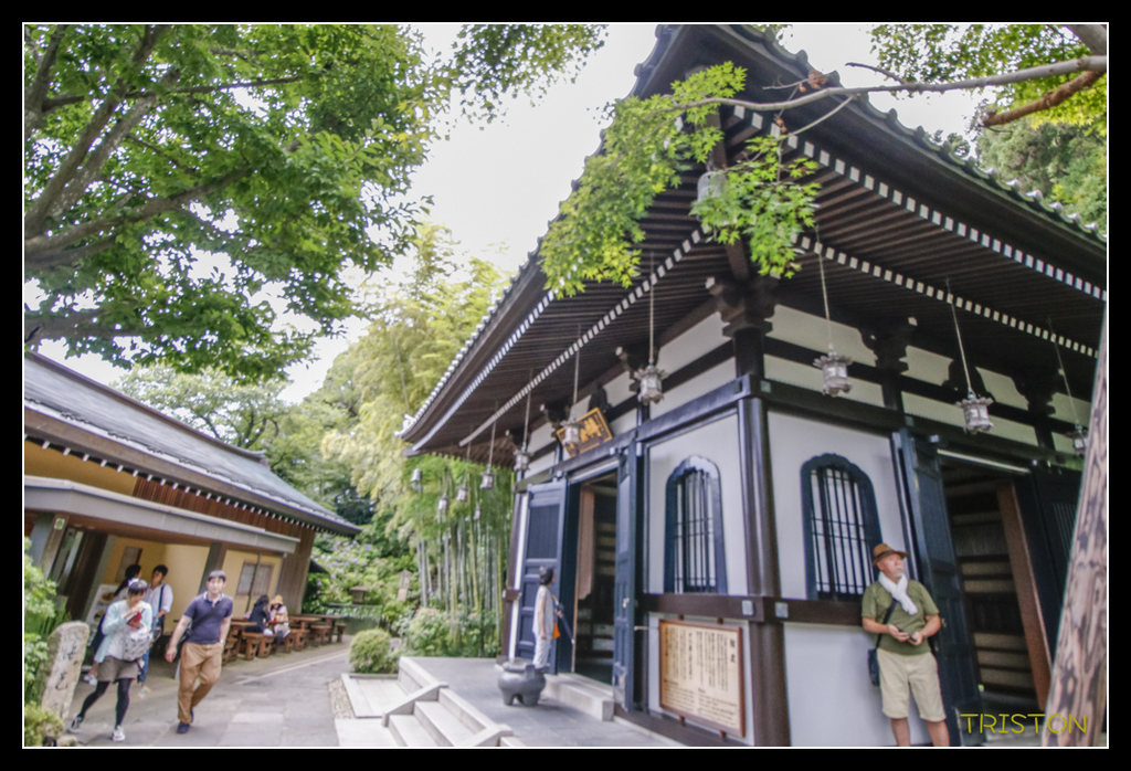 _MG_1464.jpg - 20170702 靜岡東海道之旅