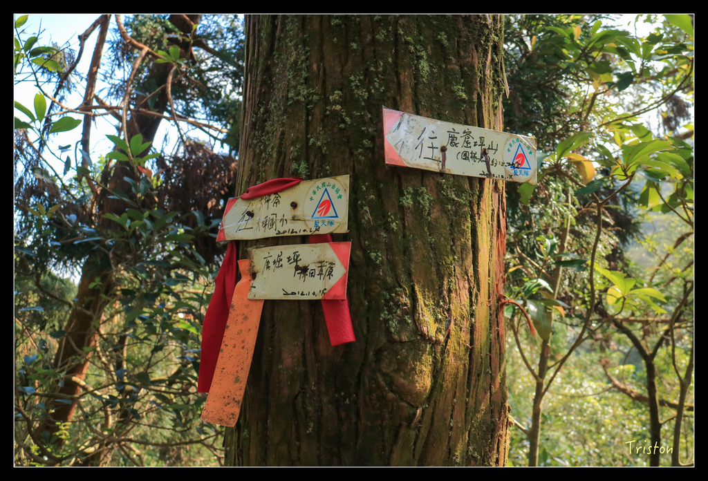 IMG_0527.jpg - 20151107 富士坪古道