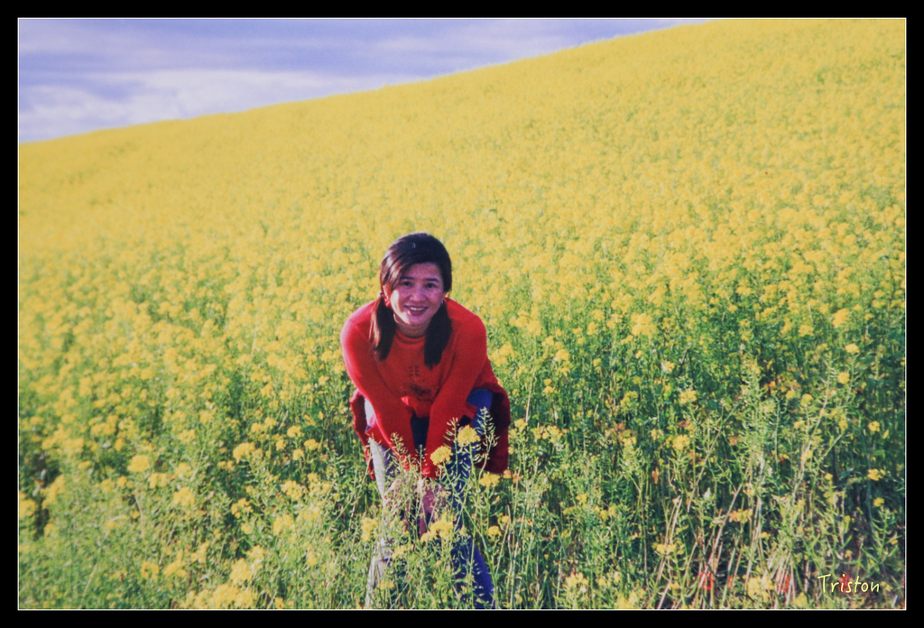 jh1a8769_21907684686_o.jpg - 20011002 北海道蜜月旅行