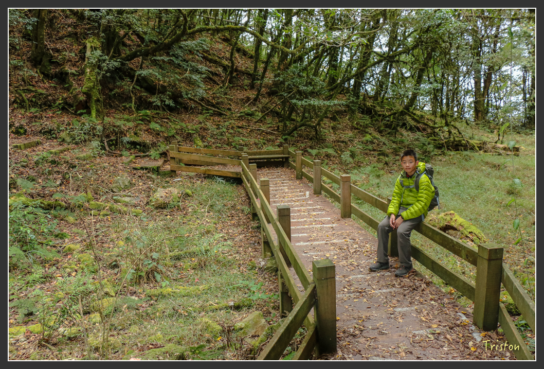 IMG_1197.jpg - 20151219 鳶嘴稍來山、小雪山林道