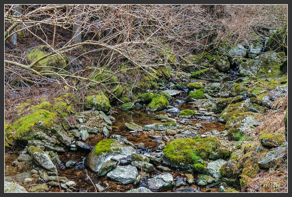 IMG_5470.jpg - 20160323 日本熊野古道健行