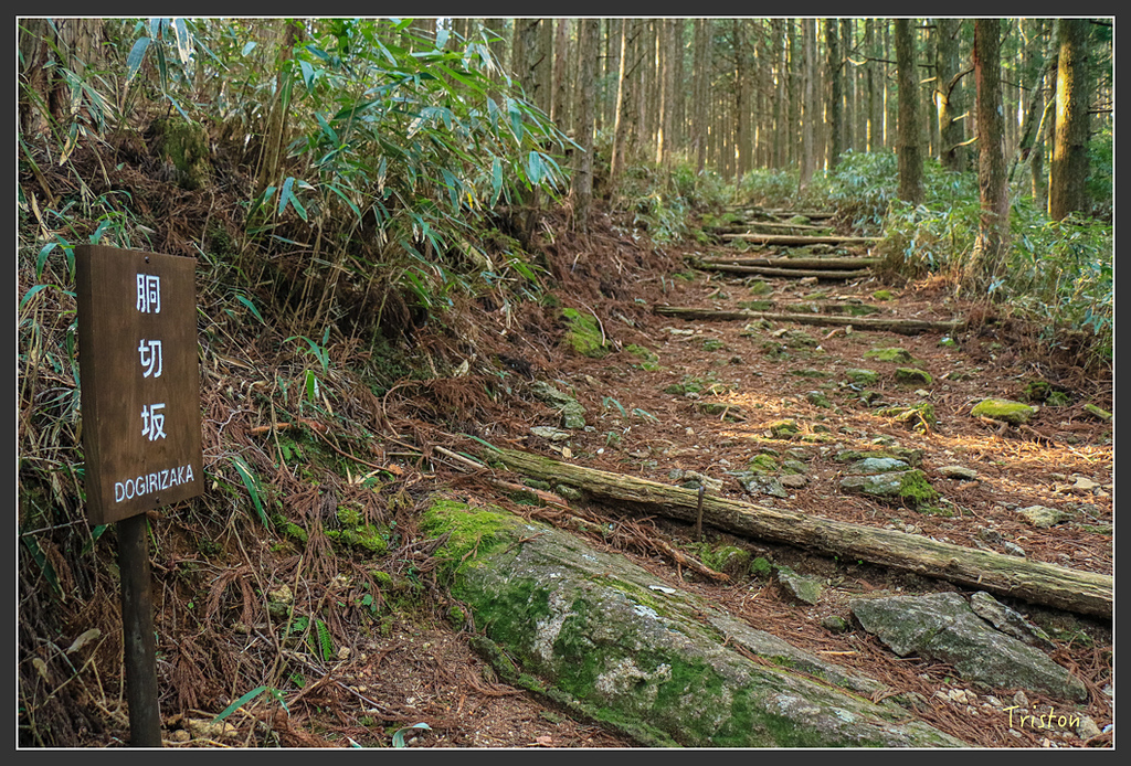 IMG_5411.jpg - 20160323 日本熊野古道健行