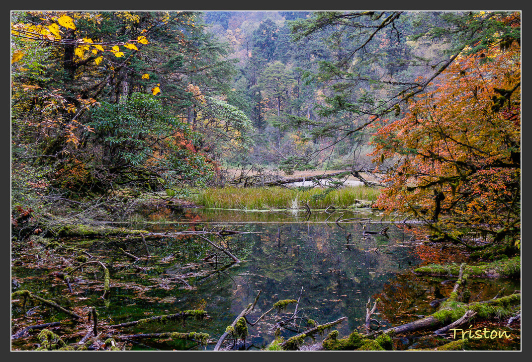 _MG_2752.jpg - 20161013 稻城亞丁