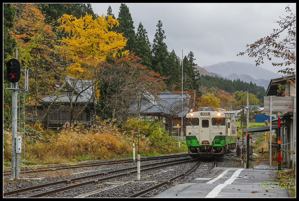 _H1A0793.jpg - 20171103 日本只見線、會津若松五色沼、昭和記念公園賞紅葉