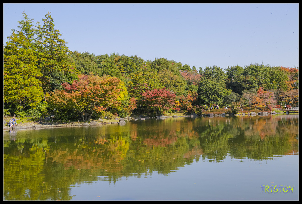 _H1A1731.jpg - 20171103 日本只見線、會津若松五色沼、昭和記念公園賞紅葉