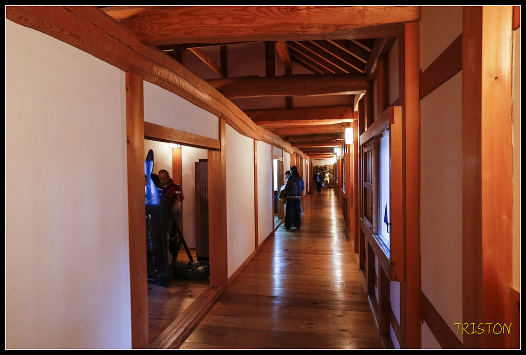 _H1A0926.jpg - 20171103 日本只見線、會津若松五色沼、昭和記念公園賞紅葉