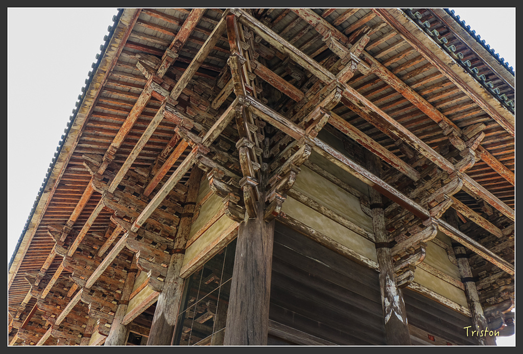 IMG_4420.jpg - 20160323 日本熊野古道健行