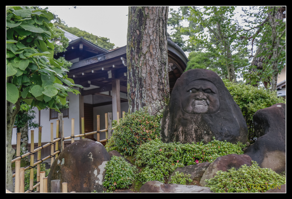 _MG_1139.jpg - 20170702 靜岡東海道之旅
