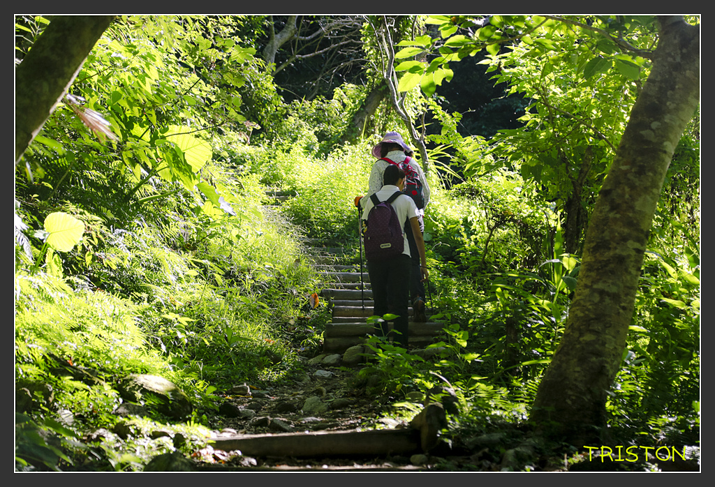 _H1A6283.jpg - 20170901 戀戀台九線