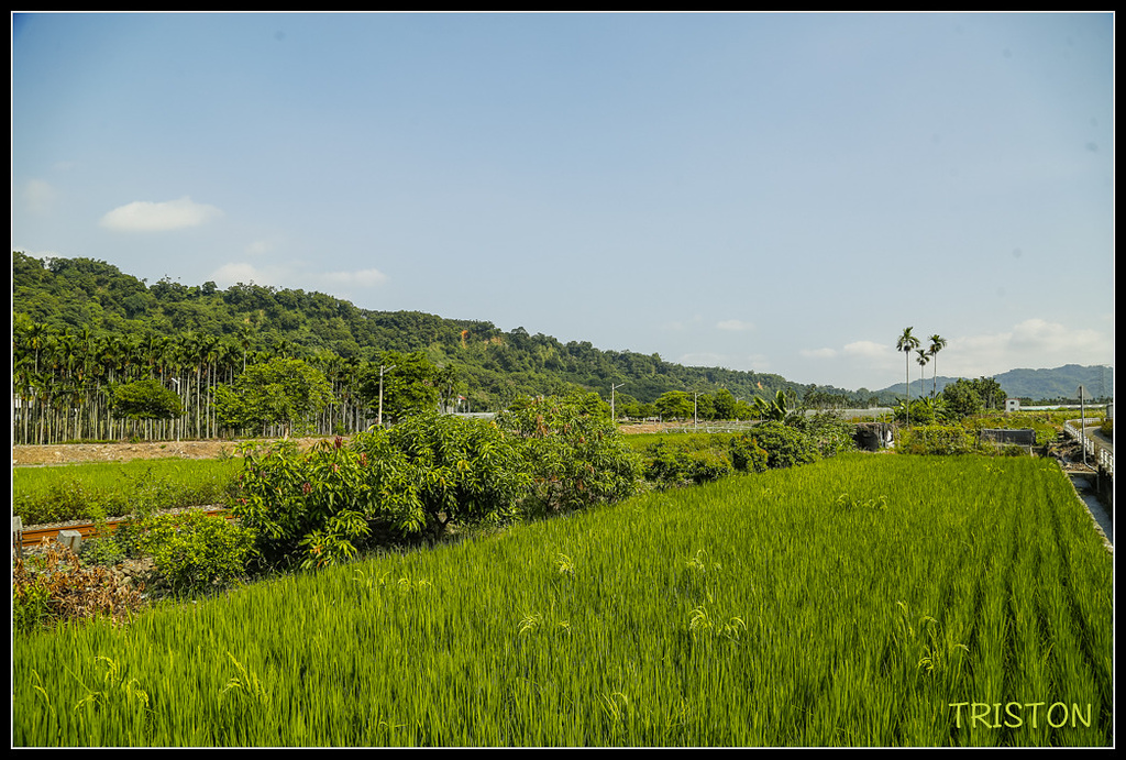 00050.jpg - 20171018A 集集線源泉站東拍小黃山