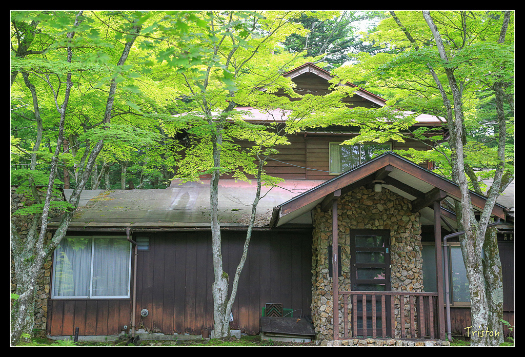 JH1A9373.jpg - 20150628 東京輕井澤日光