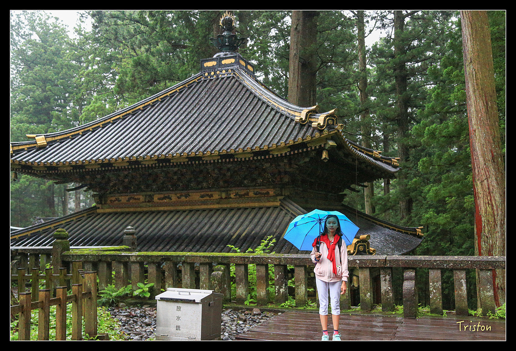 JH1A9976.jpg - 20150628 東京輕井澤日光