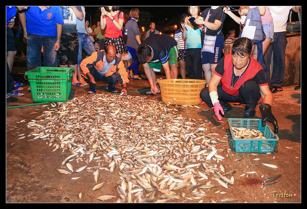 JH1A9093.jpg - 20150814 馬祖之旅