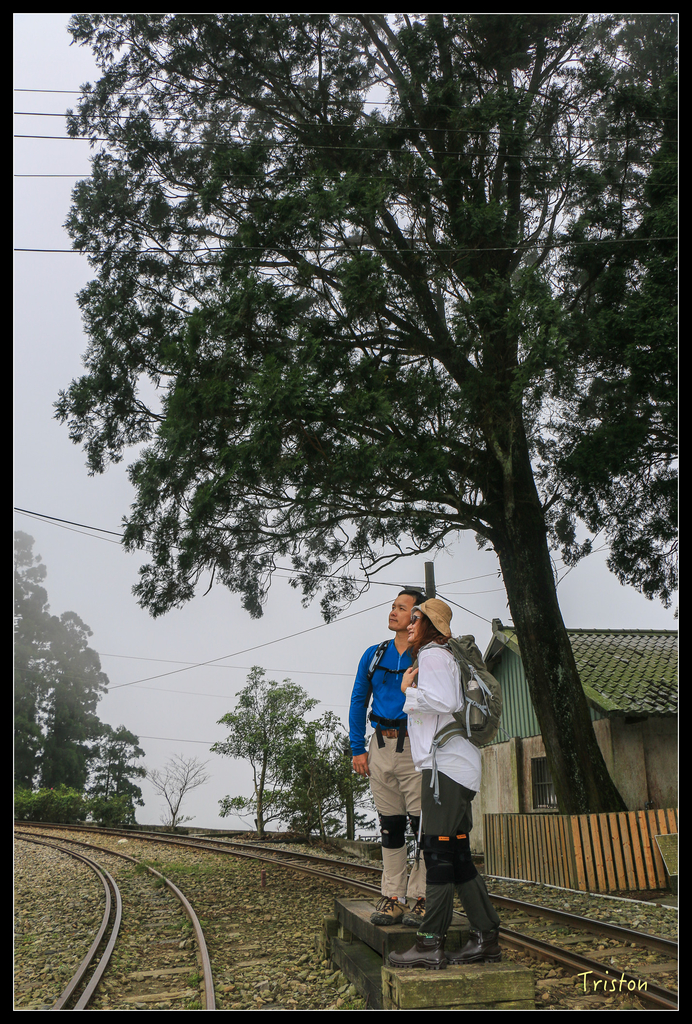 IMG_8393.jpg - 20151012 水社寮,四天王山