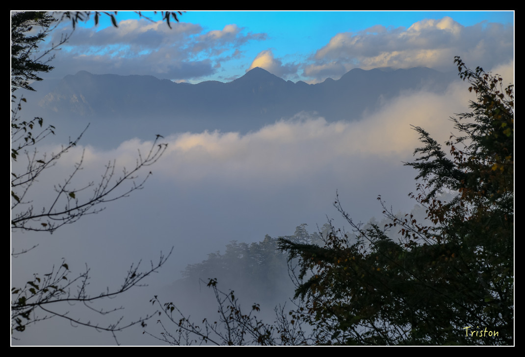 JH1A0850.jpg - 20151205 合歡溪步道、108K楓之谷