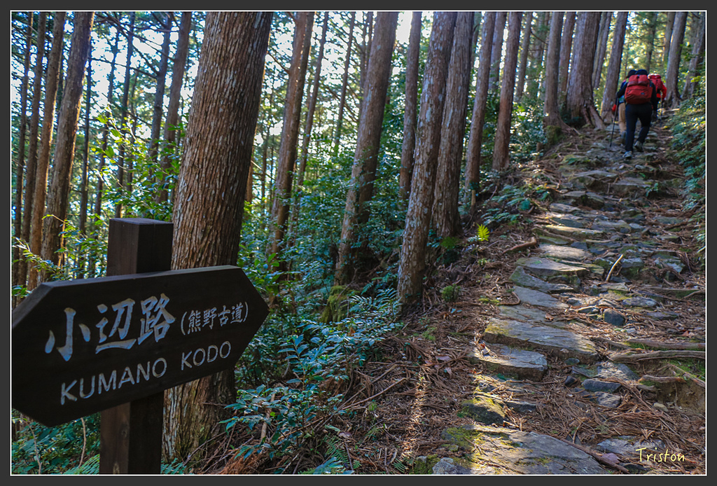 IMG_4662.jpg - 20160323 日本熊野古道健行