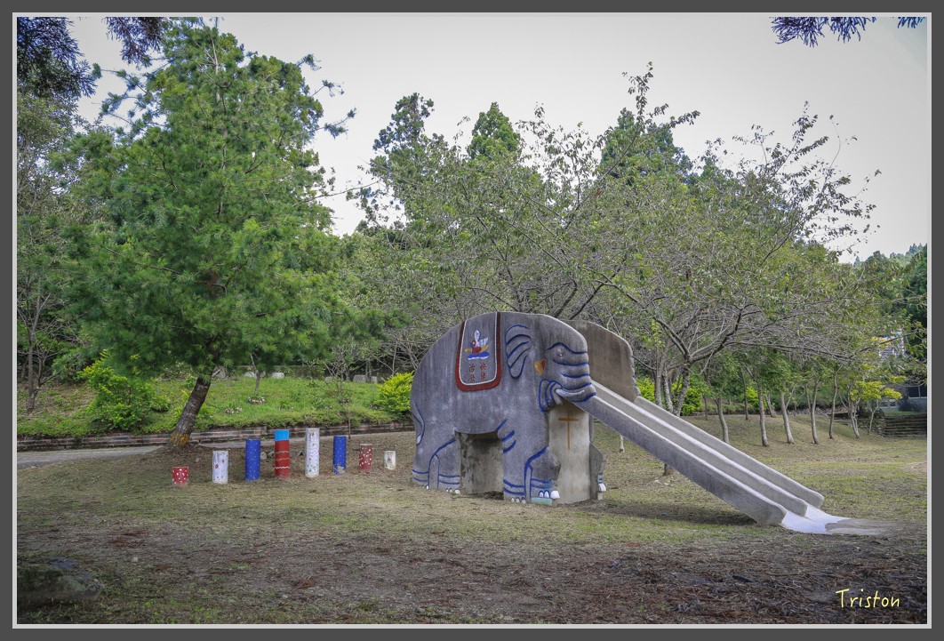 JH1A0261.jpg - 20160806 小奇萊步道、清境國小