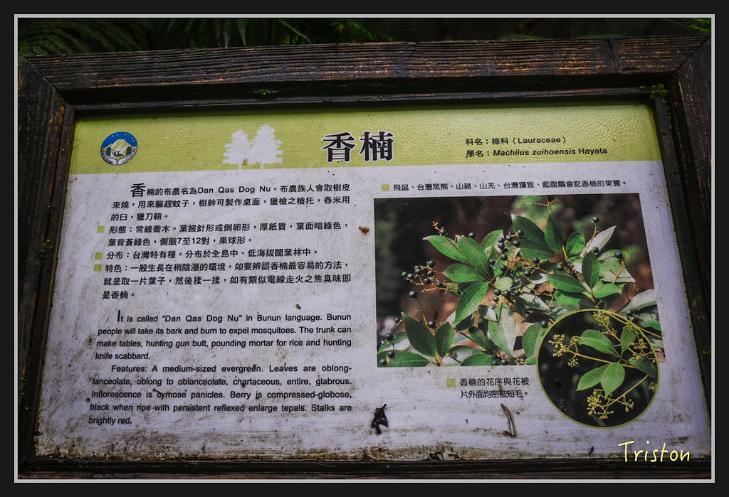 2017-02-27 10.03.53 下午 _MG_0465.jpg - 20170225 玉里瓦拉米