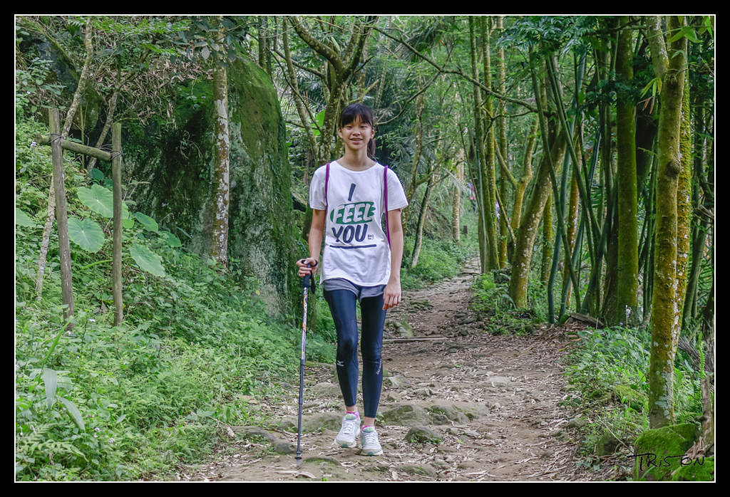 _MG_0138.jpg - 20170529 關仔嶺大凍山