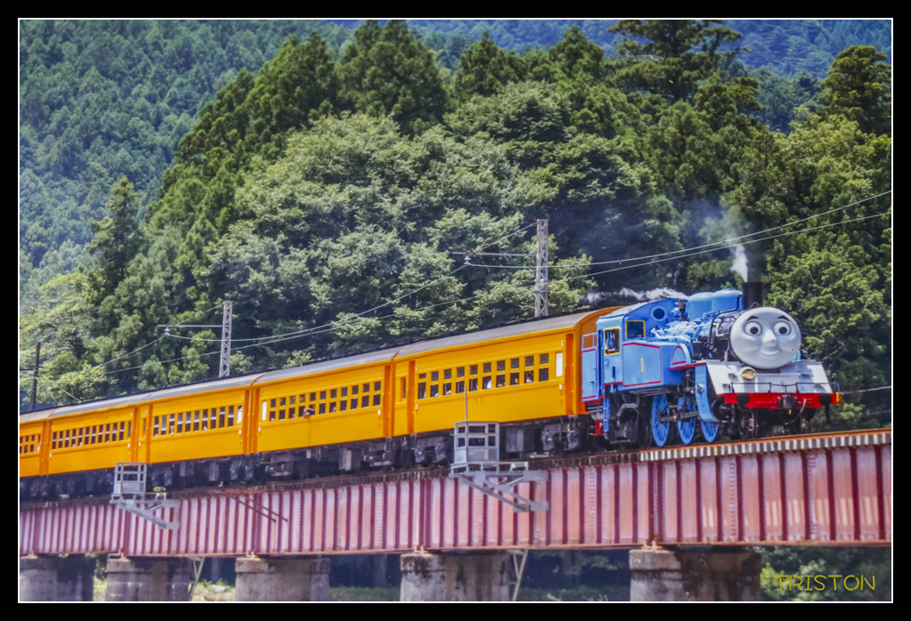 _MG_0252.jpg - 20170702 靜岡東海道之旅
