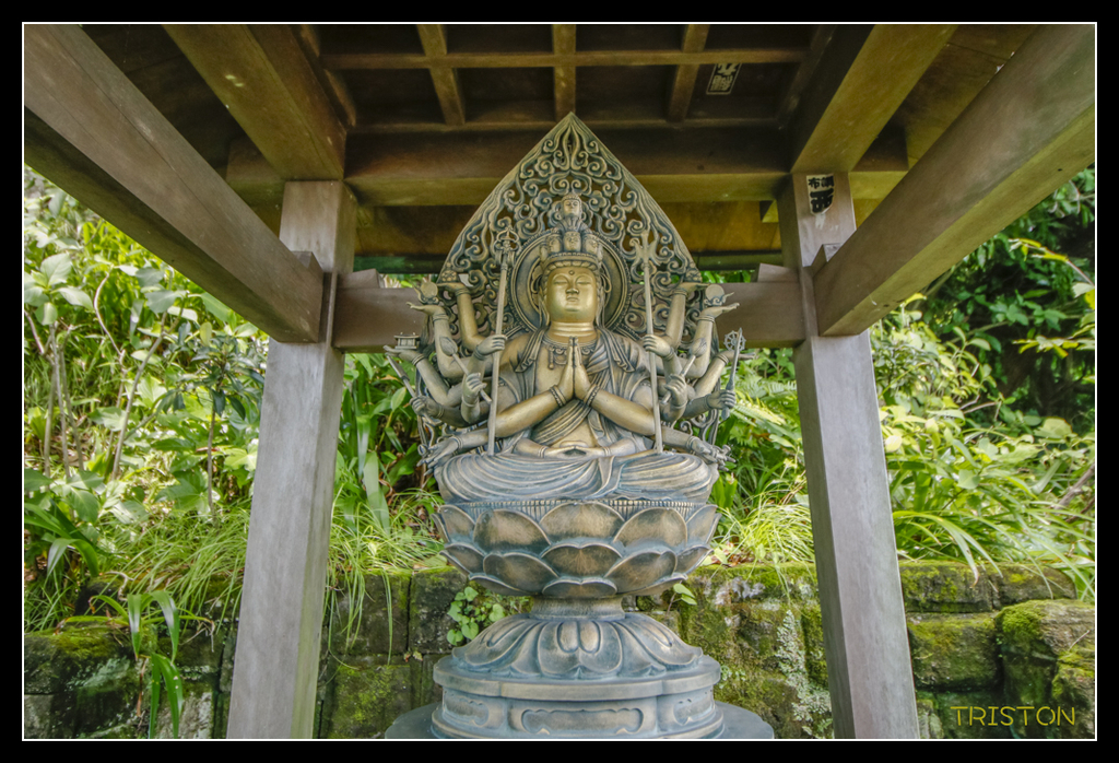 _MG_1475.jpg - 20170702 靜岡東海道之旅