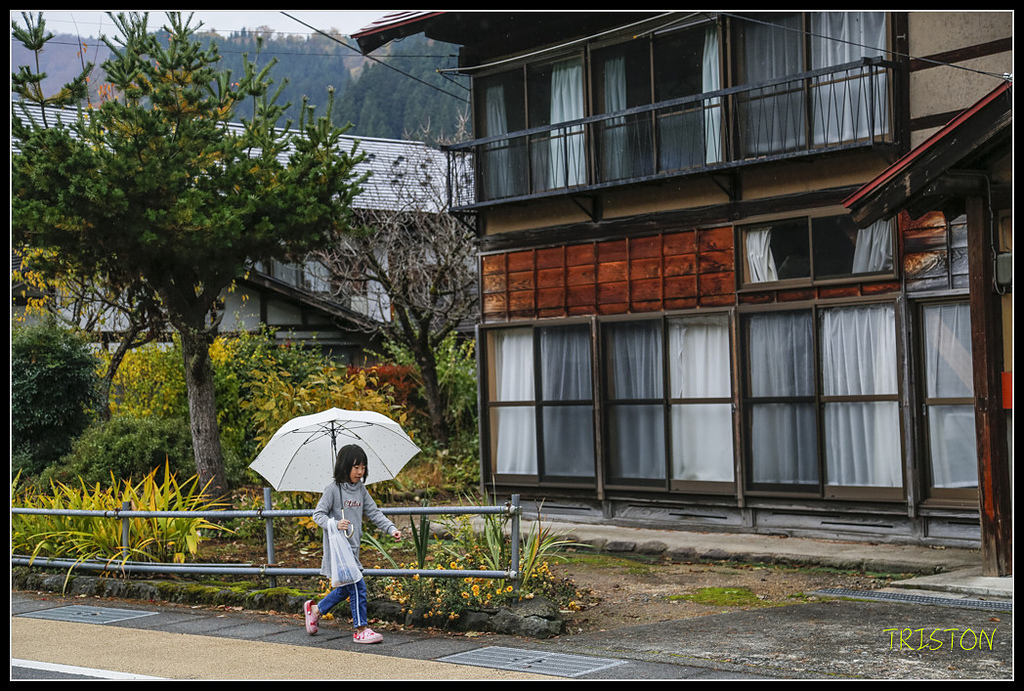 _H1A0692.jpg - 20171103 日本只見線、會津若松五色沼、昭和記念公園賞紅葉