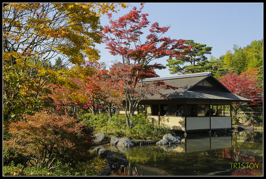 _H1A1770.jpg - 20171103 日本只見線、會津若松五色沼、昭和記念公園賞紅葉