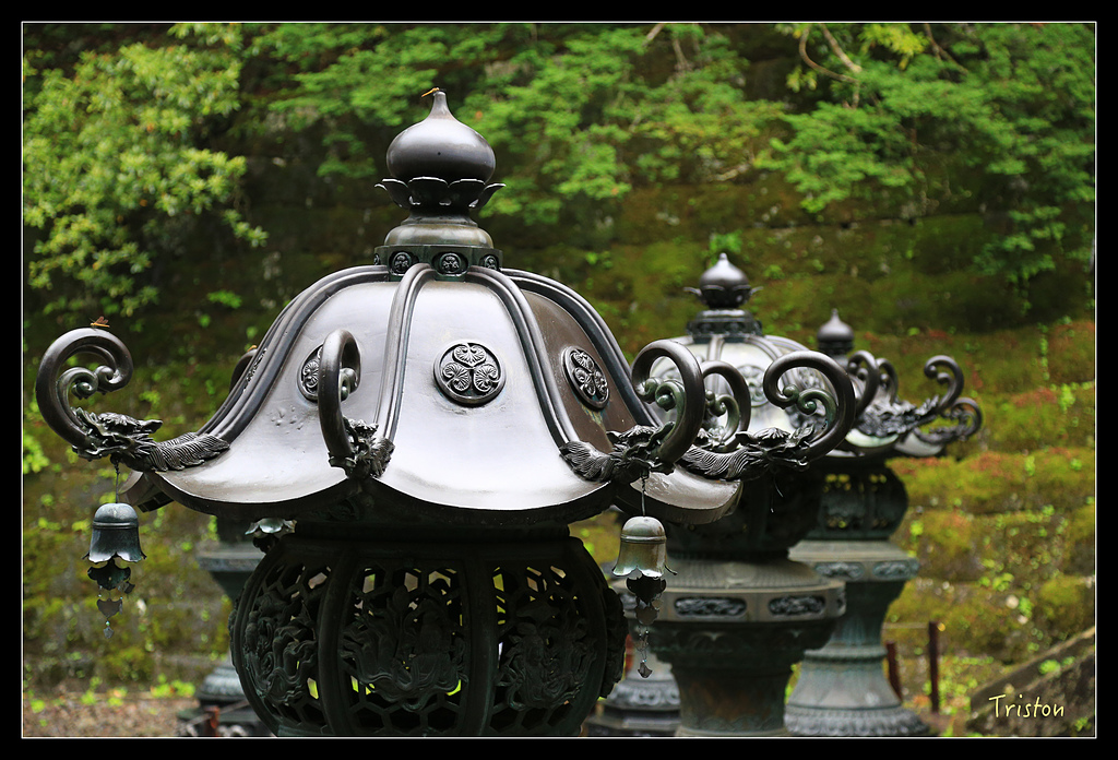 JH1A0019.jpg - 20150628 東京輕井澤日光