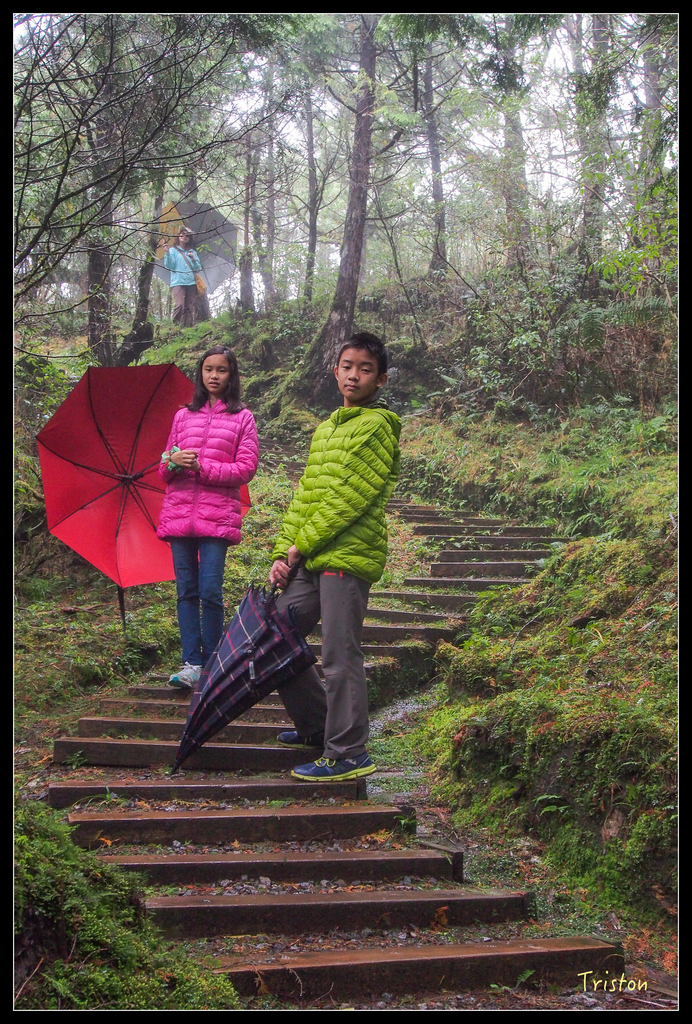 PA240141.jpg - 20151024~25 幾米公園、翠峰湖、翠峰山屋、望洋山步道、山毛櫸步道