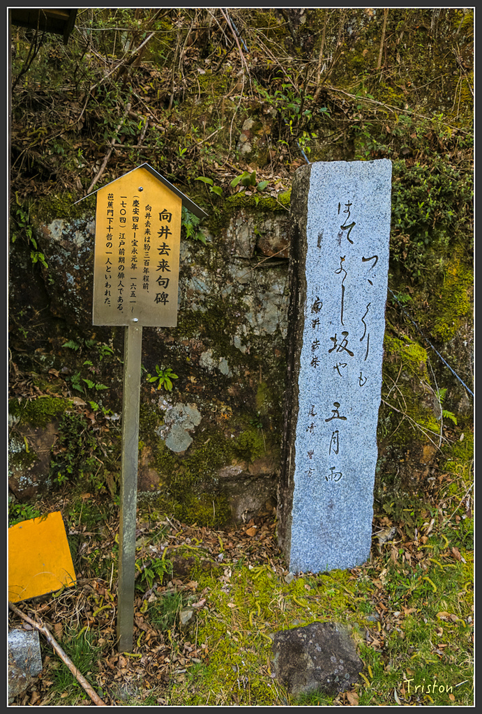 IMG_4629.jpg - 20160323 日本熊野古道健行