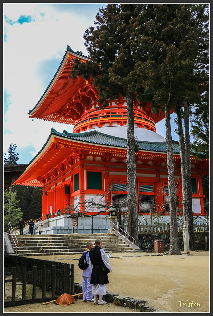 IMG_4545.jpg - 20160323 日本熊野古道健行