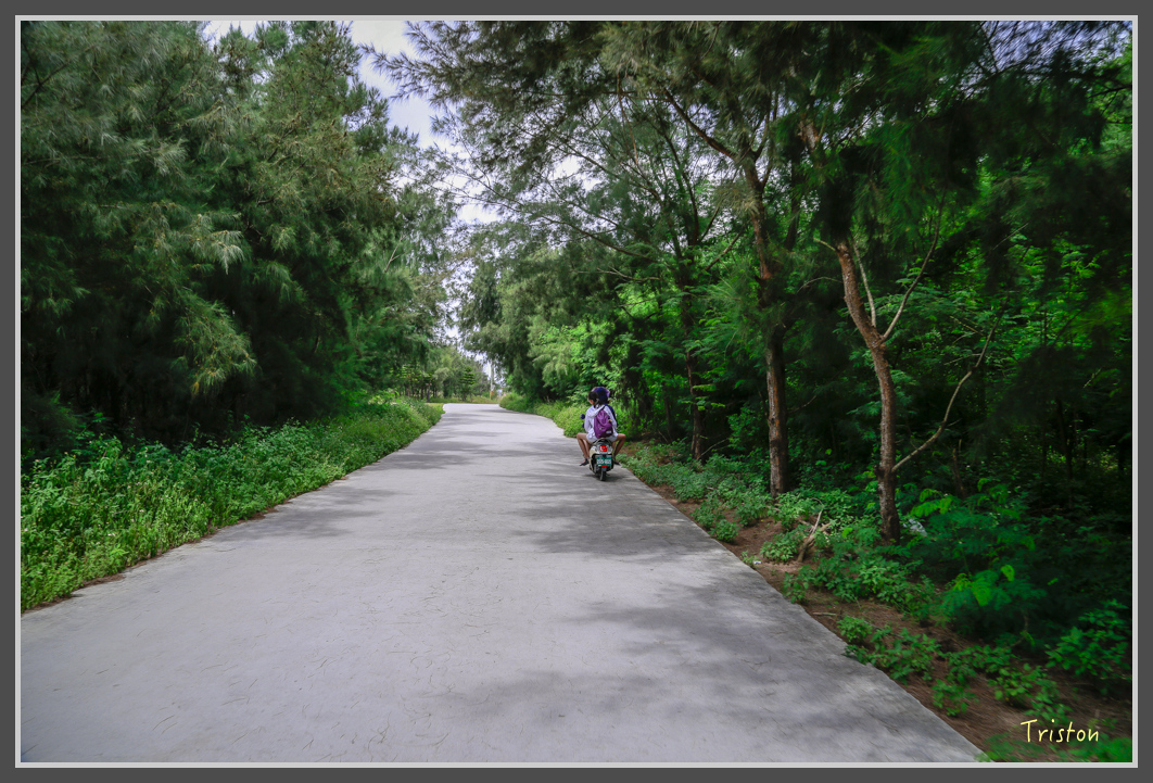 _H1A0672.jpg - 20160701 澎湖