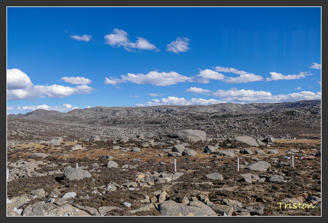 _MG_1553.jpg - 20161013 稻城亞丁