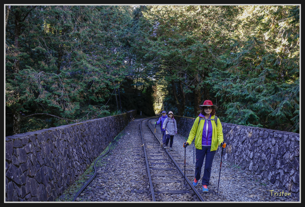 _MG_0024.jpg - 20161226 大塔山