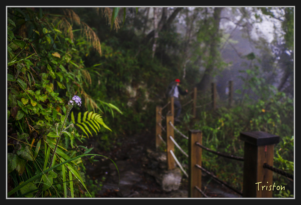 2017-02-27 10.03.53 下午 _MG_0211.jpg - 20170225 玉里瓦拉米