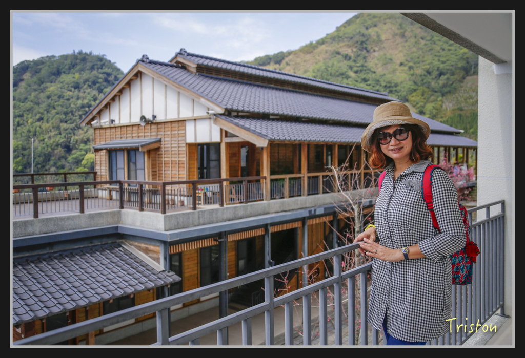 _H1A2500.jpg - 20170311 草嶺