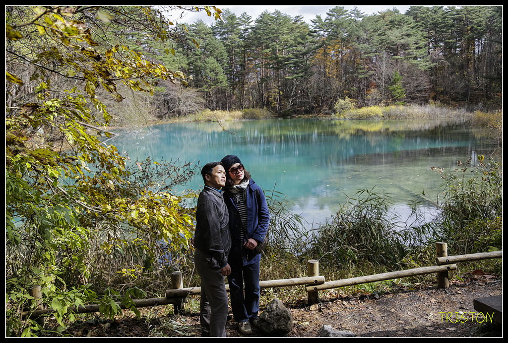 _H1A1329.jpg - 20171103 日本只見線、會津若松五色沼、昭和記念公園賞紅葉