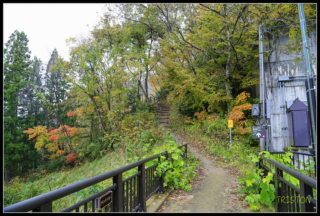 _H1A0428.jpg - 20171103 日本只見線、會津若松五色沼、昭和記念公園賞紅葉