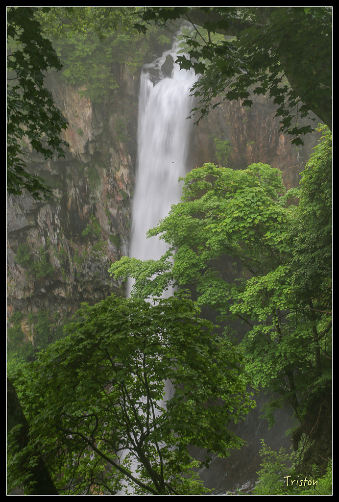 JH1A0058.jpg - 20150628 東京輕井澤日光