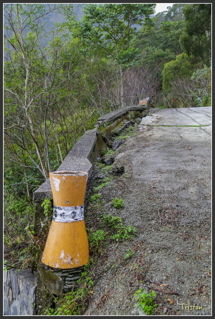 JH1A8119.jpg - 20160111 吉露、阿禮部落