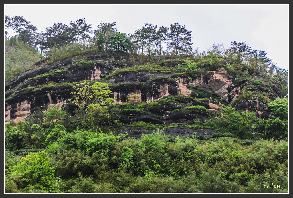 IMG_6757.jpg - 20160409 武夷山之旅