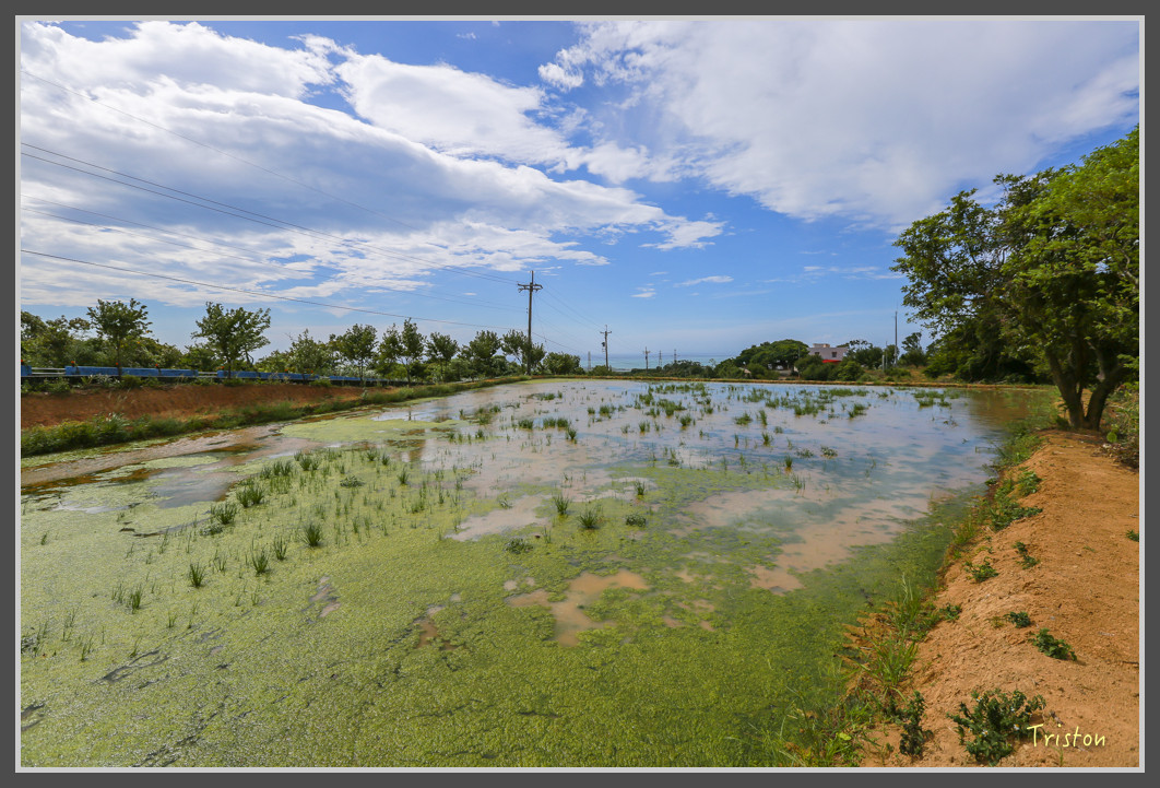 13 JH1A2231.jpg - 20160801 父子親子遊東北角