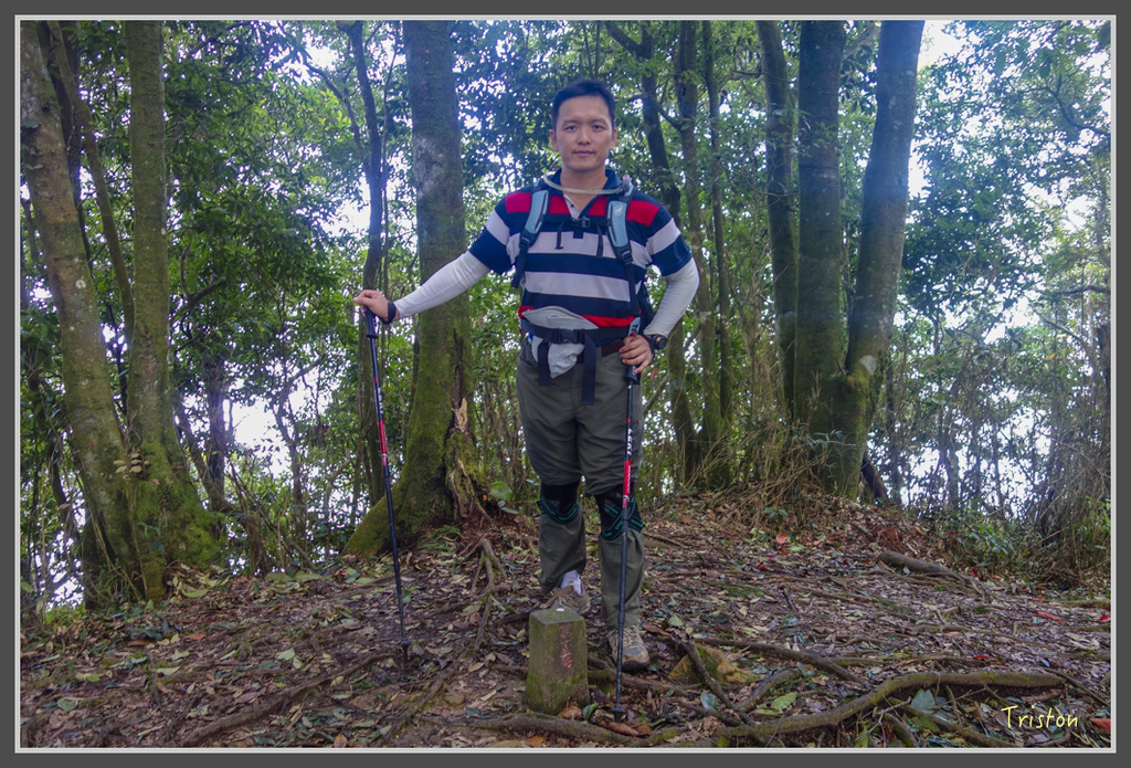 DSC00805.jpg - 20160924 溪頭台寅山