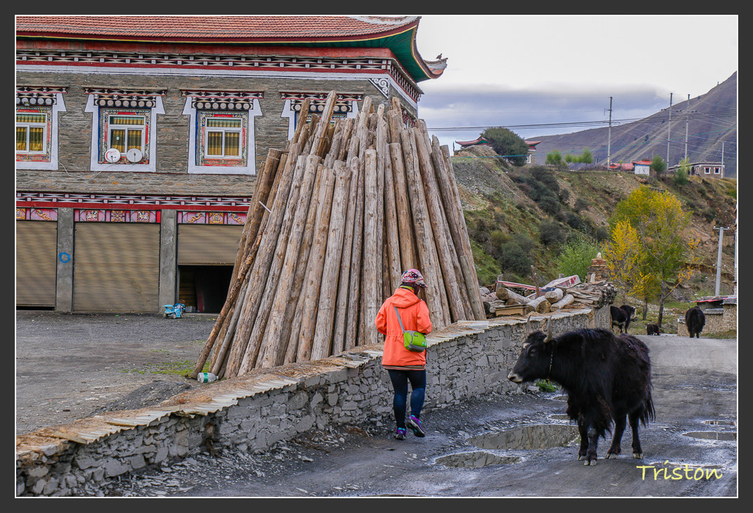 _MG_1377.jpg - 20161013 稻城亞丁