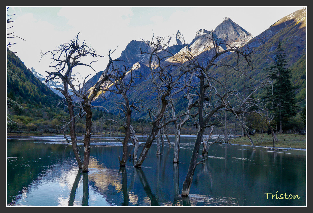 _MG_0772.jpg - 20161013 稻城亞丁