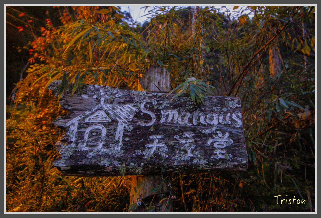 _MG_0053.jpg - 20161203 鎮西堡